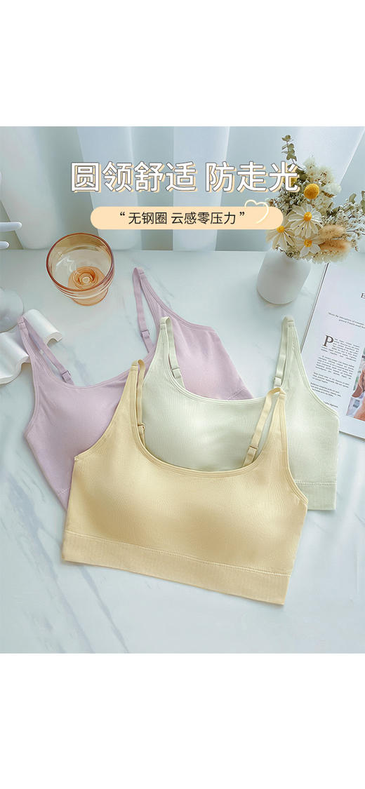 内衣1646 商品图2