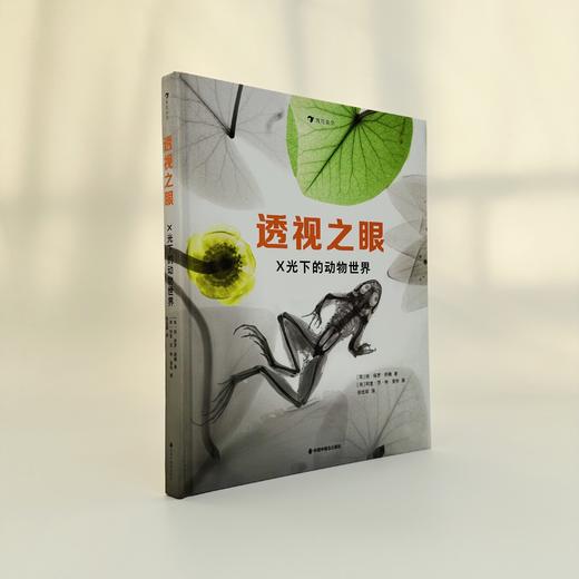 透视之眼：X光下的动物世界 商品图2