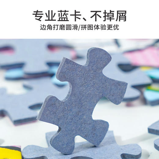 TOI图益-潮玩拼图系列-《鲜花派送》-300片 商品图6