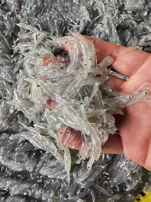 &  本港小银鱼🐠无刺无骨‼煎蛋必备补钙好选择，孩子健康成长首选活冻 商品图3