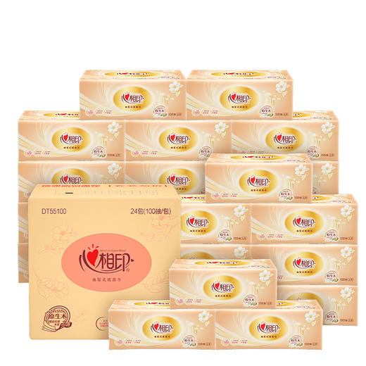心相印金装经典系列24包100抽3层塑装纸面巾 DT55100（箱装） 商品图0