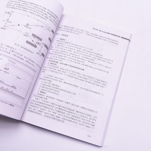 数据采集及预处理基础与应用 数据采集数据处理大数据预处理技术计算机数据分析网络技术书籍 商品图3