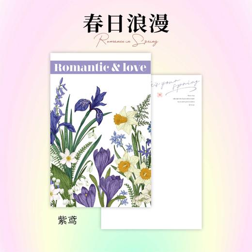 春日浪漫 商品图5