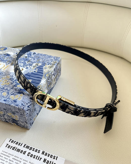 THS 4.20-无 D家 女士   Oblique图案2.0 老花帆布双面腰带 CR211 商品图3