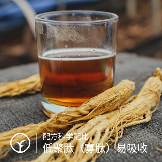 【检测308项农残未检出人参山药肽】小分子低聚肽 分子量1000道尔顿以下低聚肽寡肽易吸收 选用国家地理标志产品长白山人参+铁棍山药 商品图3