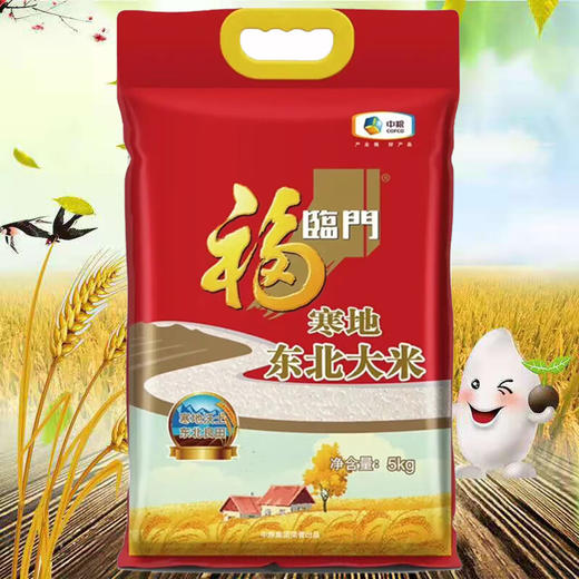 福临门寒地东北大米5kg 商品图2