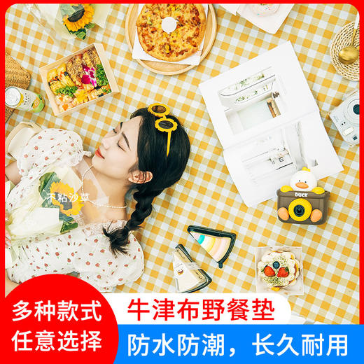 【露营好物！户外野餐垫！】露营野餐包户外郊游野餐布草地垫野营防潮帐篷地垫耐磨沙滩野餐垫-24XPXH058 商品图2