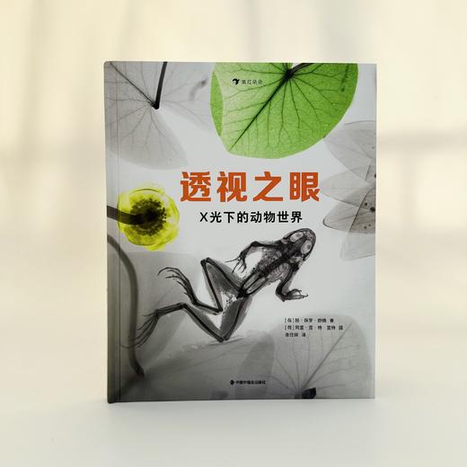 透视之眼：X光下的动物世界 商品图1