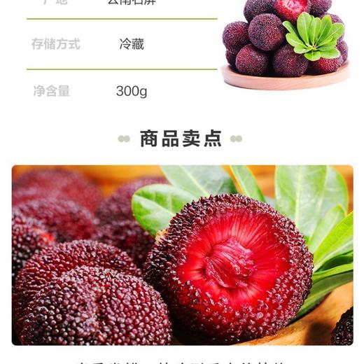 云南杨梅250g/盒 商品图4