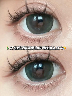 melon 甜瓜乌茶冻「含硅水凝胶」年抛型