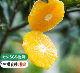 【102项农残O检出】【伦晚脐橙】 来自中国脐橙之乡 清甜多汁  多个规格可选