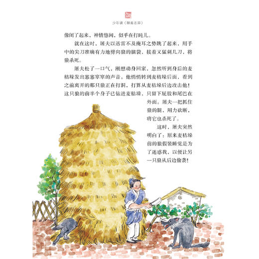 《少年读〈聊斋志异〉》（全3册） 商品图10