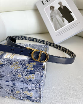 THS 4.20-无 D家 女士   Oblique图案2.0 老花帆布双面腰带 CR211