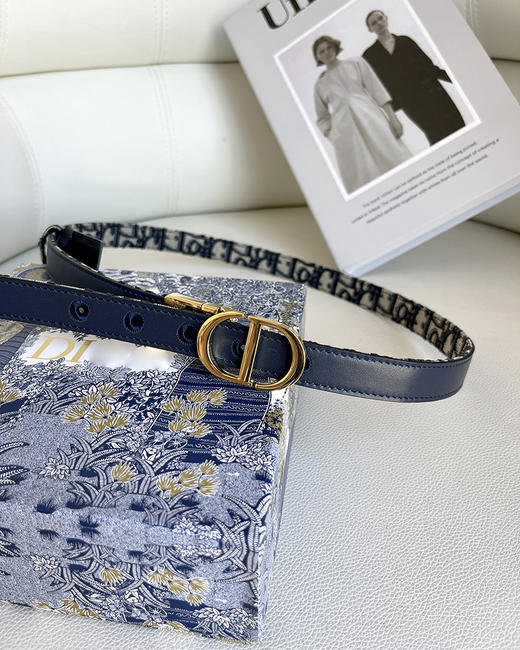 THS 4.20-无 D家 女士   Oblique图案2.0 老花帆布双面腰带 CR211 商品图0