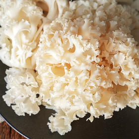 新鲜绣球菌 脆脆嫩嫩，鲜美至极