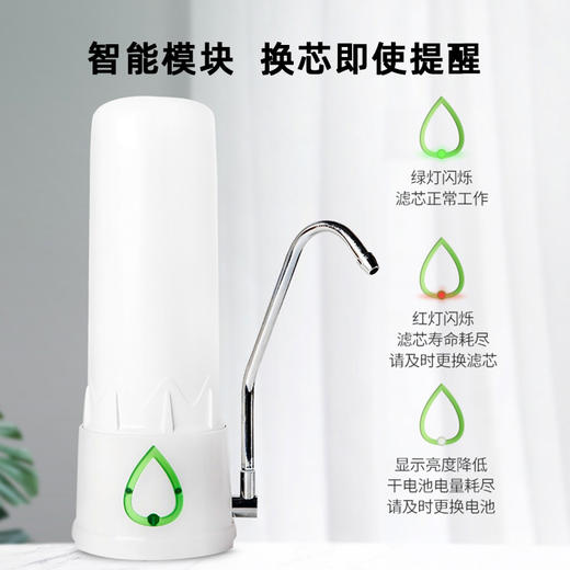 艾可丽 盖亚净水器家用直饮智能厨房自来水过滤器超滤台式净水机滤芯 商品图3