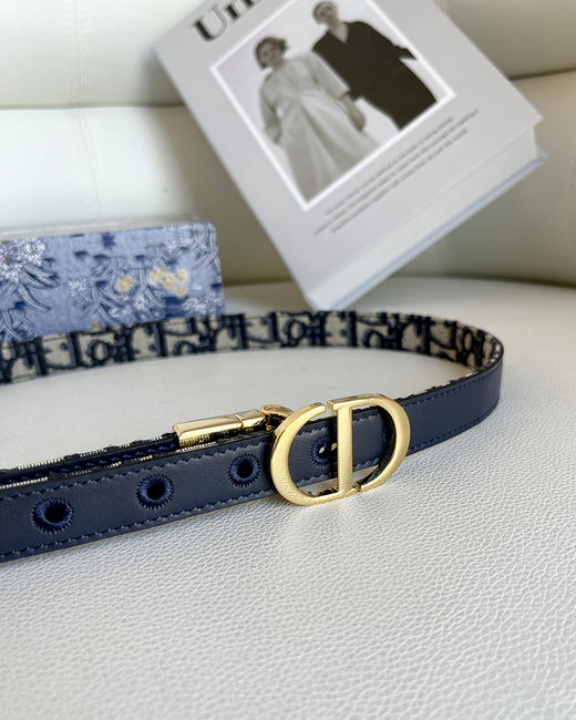 THS 4.20-无 D家 女士   Oblique图案2.0 老花帆布双面腰带 CR211 商品图1