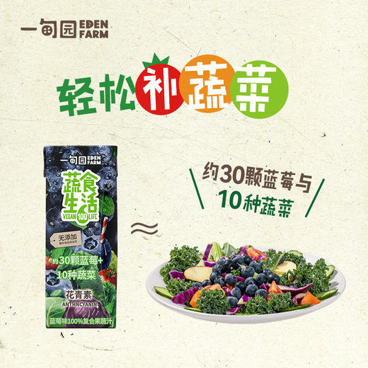 一甸园 蔬食生活100%复合果蔬汁（蓝莓味）200ml*10 商品图1