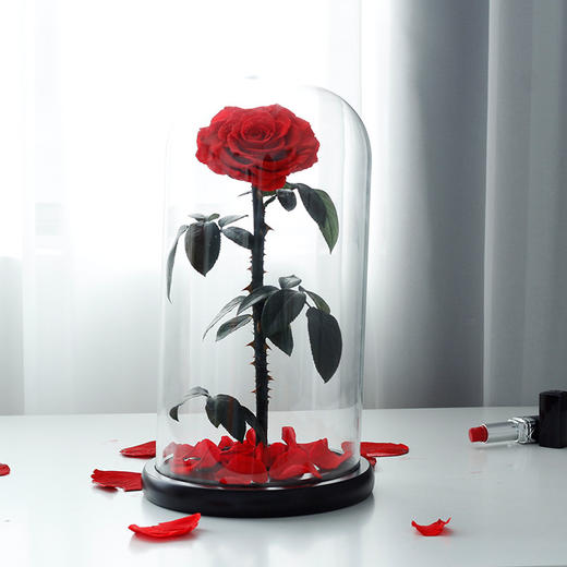 【母亲节送妈妈实用礼物！】永生花玻璃罩成品真玫瑰花，送妈妈生日礼品小王子情人节母亲节礼物-lm！-ry 商品图12