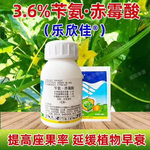 苄氨赤霉酸乐欣佳3.6%细胞分裂素赤霉酸膨大果实植物生长调节剂 商品图2