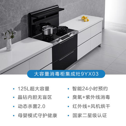 老板/集成灶/JJZT-9YX03 商品图0