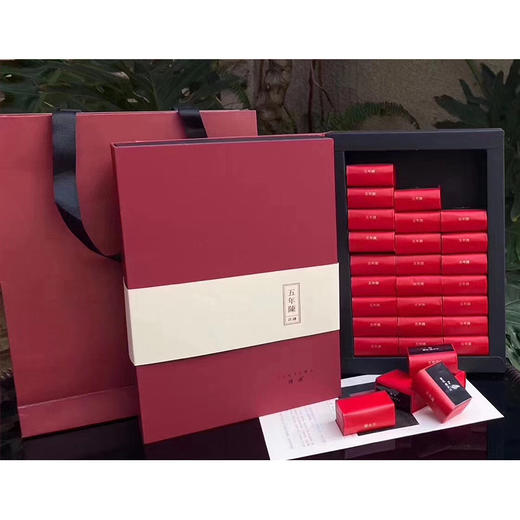 国津丨五年陈茯砖 安化黑茶 2014年原料 216g（8g*27）配手提袋 商品图3