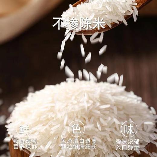 【华中】浮顶山稻虾米 商品图2