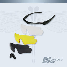 【防弹防爆 轻质镜身】蜻蜓D3护目镜套装