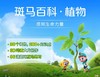 【斑马百科】岩石与矿物 新品上市 合计19科 涵盖科技自然人文三大领域适合3-12岁3D电影级画面+2D动画+AI互动练习 可永久观看身临其境-层层递进-学知识更学能力 商品缩略图12