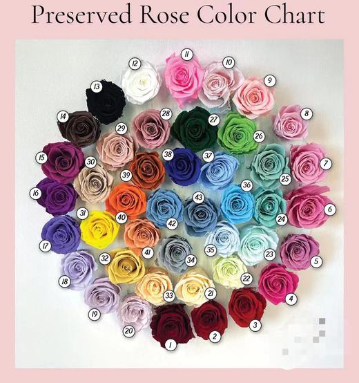 【母亲节送妈妈实用礼物！】永生花玻璃罩成品真玫瑰花，送妈妈生日礼品小王子情人节母亲节礼物-lm！-ry 商品图8