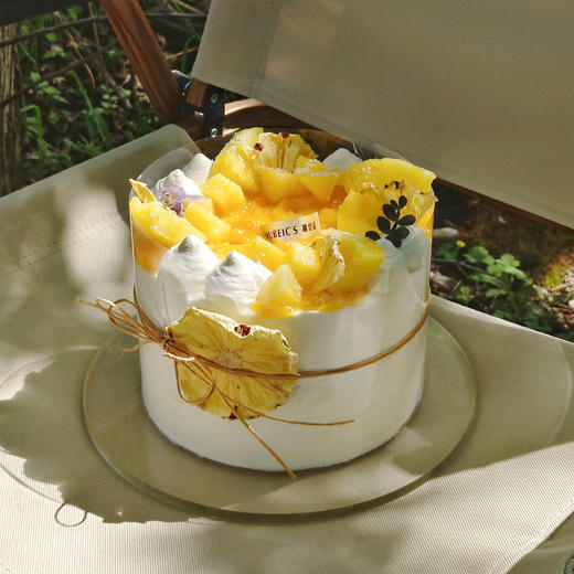 阳光波波凤梨（停用） 商品图2