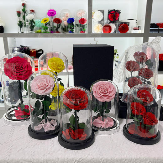 【母亲节送妈妈实用礼物！】永生花玻璃罩成品真玫瑰花，送妈妈生日礼品小王子情人节母亲节礼物-lm！-ry 商品图1
