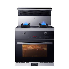 优盟（UM）家集成灶（750mm宽）烟灶联动 头部暖菜宝110L保洁柜 自动清洗-门店自装(ZMD) 蒸烤箱集成灶UJ219（750mm尺寸） 液化气