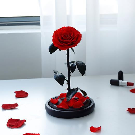 【母亲节送妈妈实用礼物！】永生花玻璃罩成品真玫瑰花，送妈妈生日礼品小王子情人节母亲节礼物-lm！-ry 商品图9