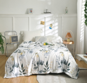 水星家纺 抗菌印花夏被--耀·浮云亭山