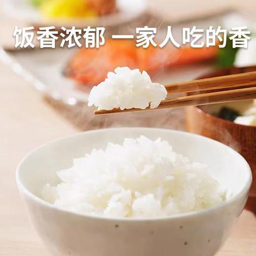 【华中】浮顶山稻虾米 商品图3