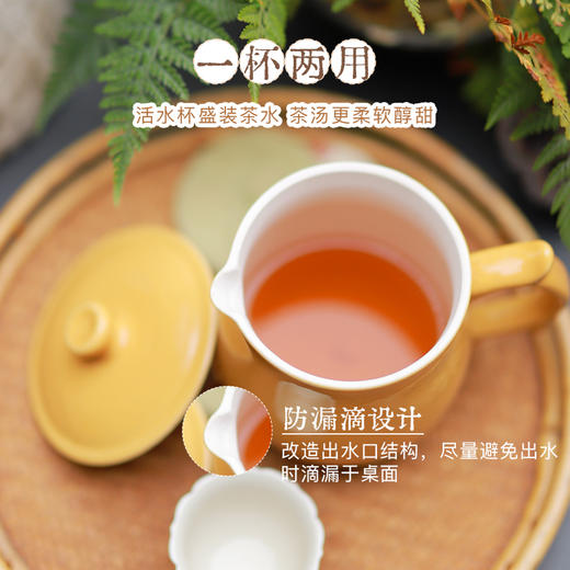 洄·大地之爱活水瓷杯 | 450ml公道杯 大地黄 带杯盖 降低小分子团簇 水质甘甜柔顺 配套玻璃茶漏 防震包 来自宝岛【自营】 商品图2