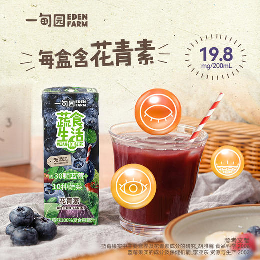 一甸园 蔬食生活100%复合果蔬汁（蓝莓味）200ml*10 商品图2