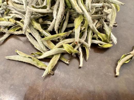 2024春 【经典款】老树头采银针  磻溪后坪 50克 250克 500克 1000克 2500克 商品图3