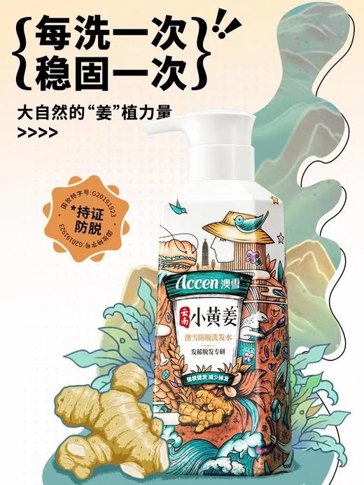 澳雪小黄姜防脱洗发水 商品图3