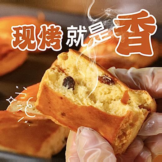 【食力宠粉】海鹏礼盒伴手礼纯酸奶和面蔓越莓酸奶饼150g 商品图2