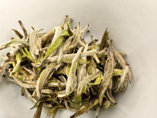 2024春 【经典款】老树头采银针  磻溪后坪 50克 250克 500克 1000克 2500克 商品图5