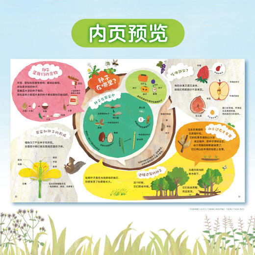 蒲公英为什么要飞起来？ : 21种种子的旅行。4-8岁探索身边的大自然，跟随种子的旅程，发现大自然的惊奇和生长的奇迹！小天角 商品图3