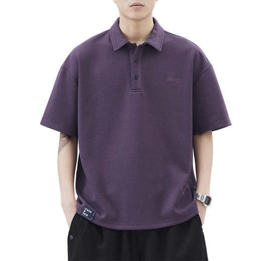 重磅Polo衫男生日系潮牌夏季宽松半袖简约男生咖啡色短袖翻领   AY-az8502【Z8502】 商品图4