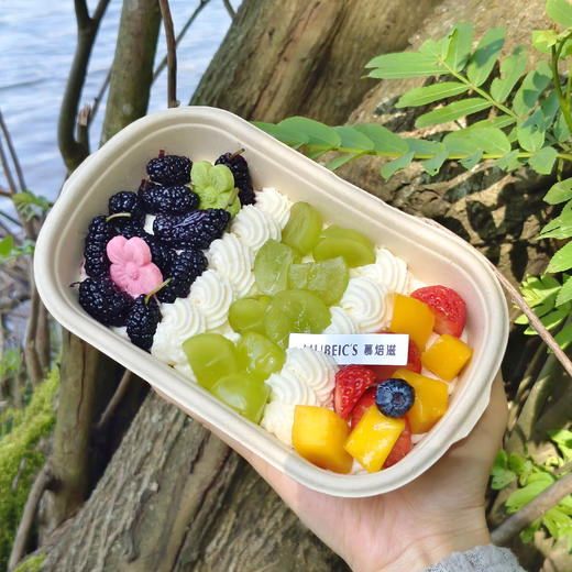 桑葚青提便当盒 商品图0