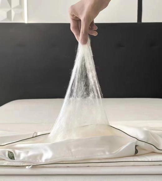 利路米100%辽原柞蚕丝小野蚕蚕丝被 工厂热卖推荐 商品图2