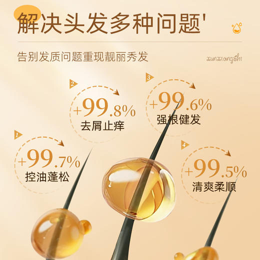 故乡好物 |（到手13瓶）寻香师澳洲茶树精油洗发水 商品图2