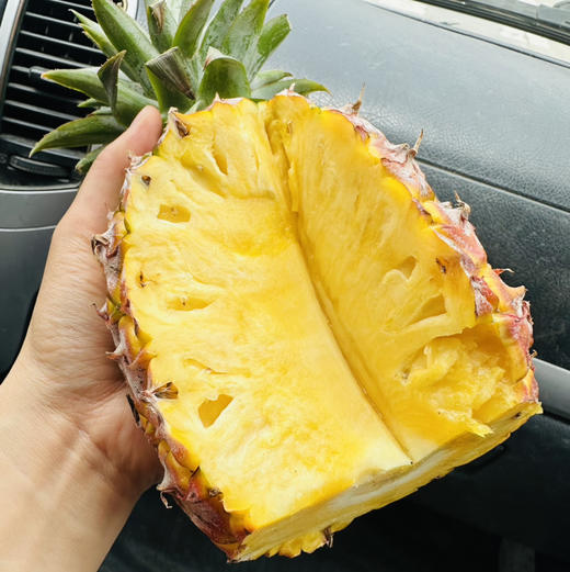 海南金钻树熟凤梨 商品图1