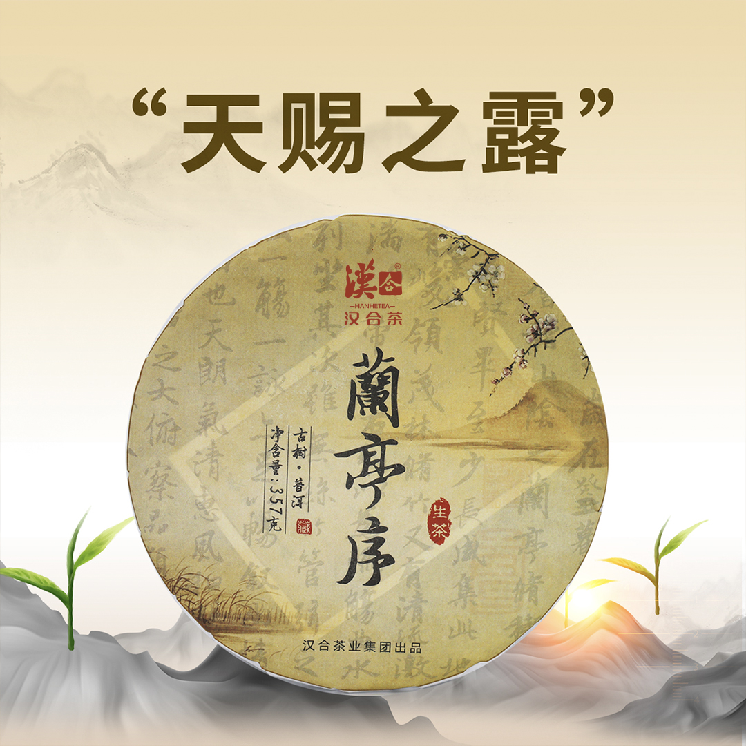 汉合茶 兰亭序 2013 古树普洱
