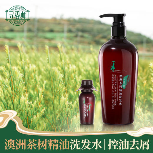 故乡好物 |（到手13瓶）寻香师澳洲茶树精油洗发水 商品图0